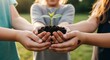 © Studio VIP - Children’s hands holding soil with seedling, outdoor lifestyle photo for eco education and future care theme