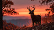 © syaifuddin - Silhouette of a whitetail buck at sunset during the fall, antlers sharply outlined against a glowing orange and red sky, standing still on a ridge with fallen leaves scattered around