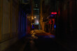 © Jarrod - A bright red neon pub sign illuminates a dark, wet city alley, casting colorful reflections onto the pavement.