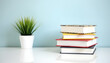 © Yasin - A stack of colorful books with a plant against a light blue background.