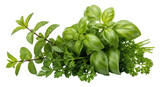 Fresh culinary herbs bunch isolated on transparent background