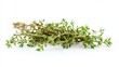 © ArmStrong☠ - Fresh thyme sprigs isolated on white background.
