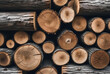 © Andika - Stacked pile of firewood logs with bark texture