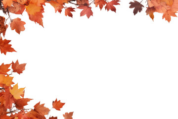 Wall Mural - png background frame in autumn backgrounds maple plant.