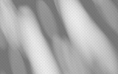Wall Mural - abstract shadow overlay from tree branch on a transparent background.