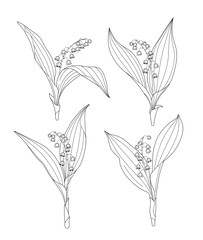 Wall Mural - lily_valley_outline1_sh.eps