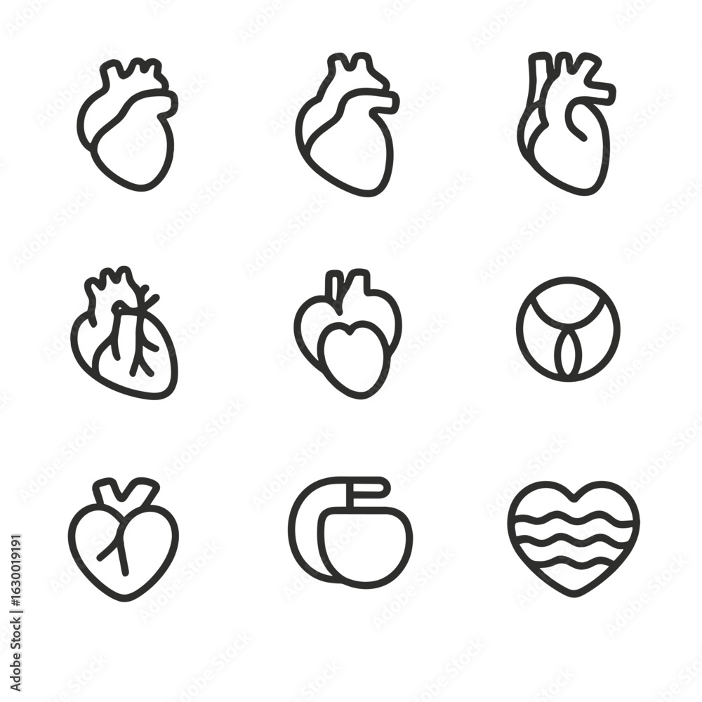 Heart Anatomy Icons. Outline icon set of heart anatomy: atrium ...
