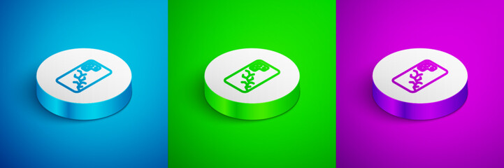 Poster - Isometric line Smartphone with broken screen icon isolated on blue, green and purple background. Shattered phone screen icon. White circle button. Vector