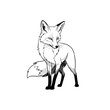 © VectorCO - Intricate black and white fox sketch on transparent background