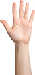 © do - Raised hand palm gesture on a transparent background.透明な背景の上げた手のひらのジェスチャー。투명배경에 손든 손바닥 제스쳐 신체