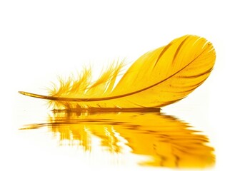 Poster - Golden Feather Reflection - A single, vibrant yellow feather floats gently on a reflective water surface, symbolizing lightness, hope, tranquility, freedom, and new beginnings