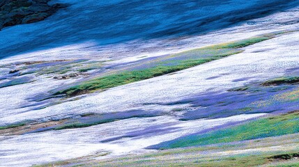 Wall Mural - two creatures perched atop a verdant slope beside a shimmering lake, surrounded by vibrant lavender 