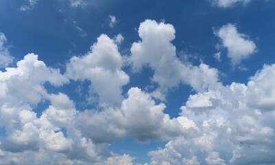 Wall Mural - beautiful cumulas clouds covered blue sky, natural cloudscape