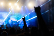 © Melinda Nagy - crowd having fun at concert summer music festival