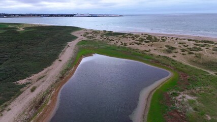 Wall Mural - Aerial view of coastal landscape transitioning from beach to sea