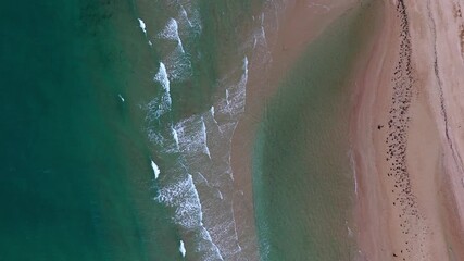Wall Mural - Aerial view of waves gently crashing on sandy coastal shoreline