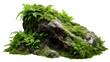 © Maestro - Natural rock formation covered with lush green ferns