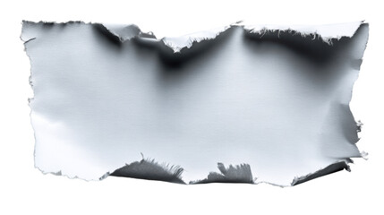 Wall Mural - torn paper with a textured edge on a transparent background