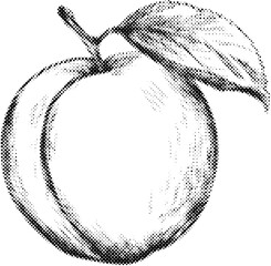 Wall Mural - halftone illustration of a single peach with a leaf in black and white