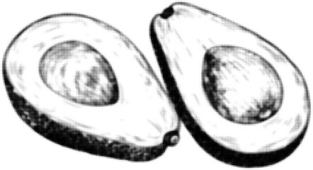 Wall Mural - halftone sketch of avocado halves with seeds, black and white illustration