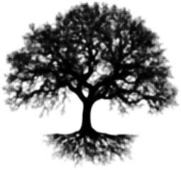 Wall Mural - black and white halftone illustration of a large tree with lush foliage
