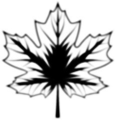 Wall Mural - black halftone maple leaf design, abstract dotted pattern