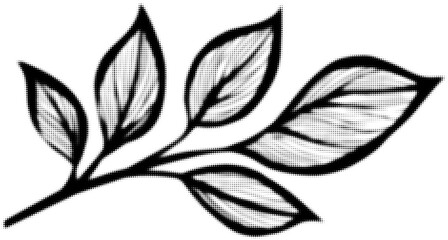 Wall Mural - black outlined branch with five leaves in a minimalist design