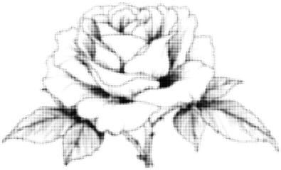 Wall Mural - halftone rose close-up in black and white with detailed textures, digital art