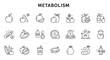 © Soli - Line icons illustrating various foods and supplements related to metabolism.