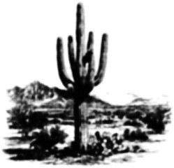Wall Mural - desert landscape with a lone cactus in black and white halftone style