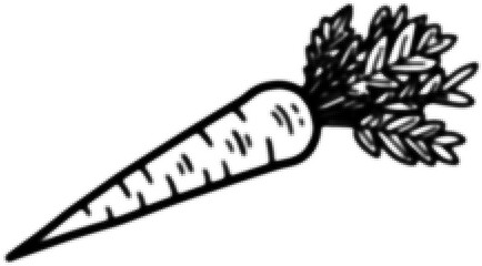Wall Mural - black and white illustration of a carrot with detailed leafy stems