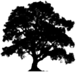 Wall Mural - silhouette of a large tree against, artistic halftone effect