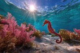 Underwater scene of a seahorse amidst vibrant coral