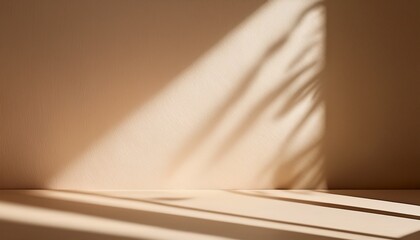 Wall Mural - minimalistic abstract simple gentle light beige background for product presentation with light and beautiful shadow from window on wall