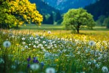 Alpen Landscape - Green Field Meadow full of spring flowers - selective focus (For diffrent focus point check the other images in the series) stock photo