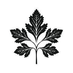 Poster - Stylized leaf black and white vector botanical illustration. Parsley herb foliage monochrome graphic element for design. Plant stem pattern.