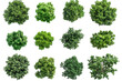 © MD USUB BISWAS - Collection of green leafy bushes from a top down perspective isolated on transparent background. Top view collection of lush green trees isolated on white background.
