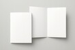 © RONY - Blank white tri fold brochure and a single folded card mockup on a light gray background
