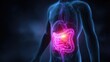 © MMerellinn - Human body with glowing pink intestines showing pain and discomfort from internal digestive problems like spasms and gastric issues, highlighting a health concern.
