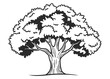 © Ruhi.Art - Hand drawn oak tree illustration with thick foliage and strong trunk isolated on white background