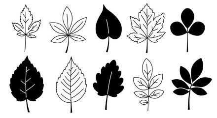 Poster - Leaf Collection: A detailed collection of diverse leaves, meticulously crafted to capture their unique shapes and textures, perfect for illustrating the wonders of the natural world.