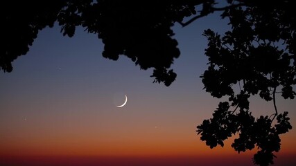 Wall Mural - crescent young moon with stars, planets and rural countryside tree silhouettes.