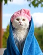 © Lala - A wet white cat sits wrapped in a blue towel, wearing a pink shower cap