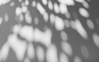 Wall Mural - abstract shadow overlay dappled light on a transparent background.