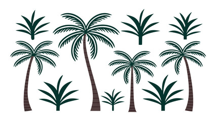 Collection of tropical palm trees and leaves botanical illustration
