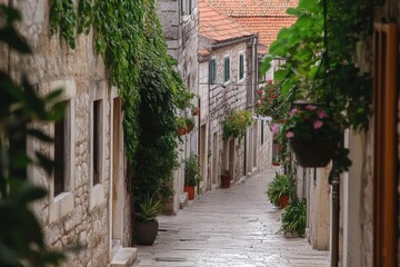  Stone-paved European alley with wooden doors