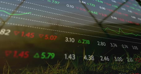 Poster - Displaying stock market data floating over grass blades in field, with tickers, arrows, grid lines