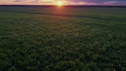 Wall Mural - cinematic 4k footage reveals the majestic beauty of the sun slowly setting across an expansive green field casting golden rays that bathe the landscape in a dreamy peaceful atmosphere