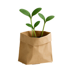 Wall Mural - Green Seedlings Sprouting from Khaki Paper Bag for Eco Design Use
