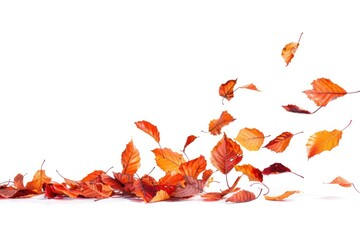 Wall Mural - autumn leaves in motion